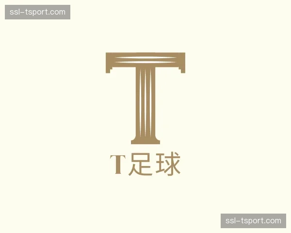 关于t足球